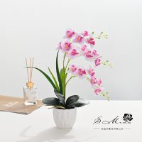 Bình hoa - ແຈດອກໄມ້ 302